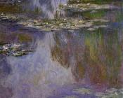 Water Lilies VII